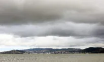 It’s Official! New Zealand Has a New ‘Mainstream’ Communist Party