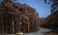 Homes Are Still Being Built in Areas With High Fire Risk