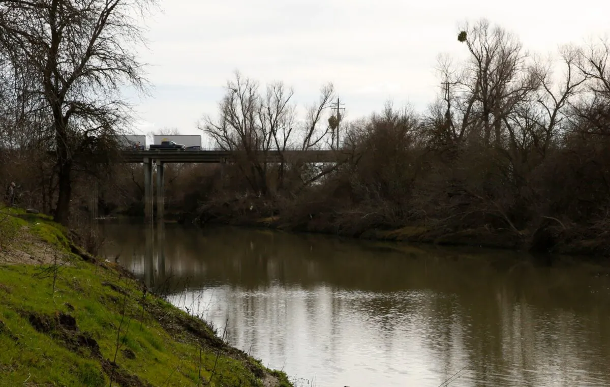Part of the slough where the body of infant Nikko Lee Perez was discovered in Yolo County in 2007, near Woodland, Calif., on Jan. 27, 2020. (Rich Pedroncelli/AP Photo)