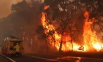 Communities Set to Make Safe Homes Among the Gumtrees