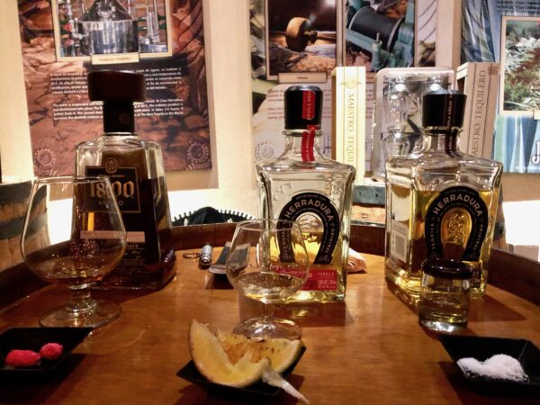 tequila tasting