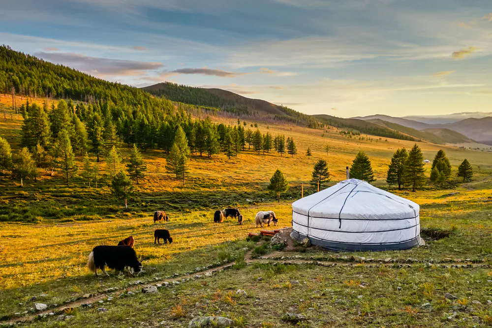 Yurts are a mainstay of a historically nomadic way of life. (Christian Kornacker/Shutterstock)