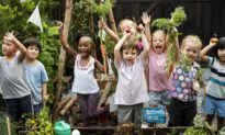 School Gardens Reconnect Kids With Food