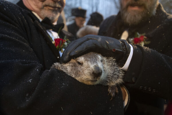 Groundhog Day