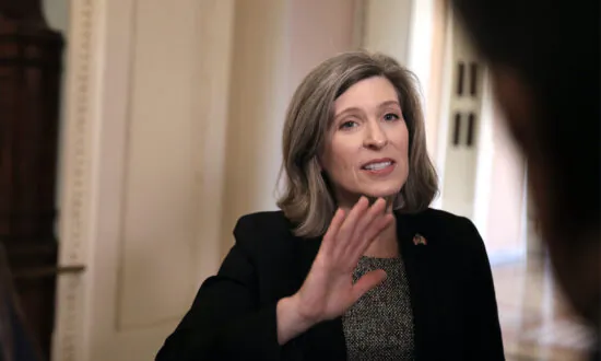 Government Spends Tax Dollars on Studies to Train Pigs, Dolphins to Play Video Games: Joni Ernst