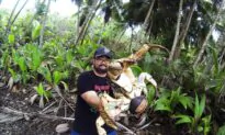 Locals on Australia’s Christmas Island Say It’s ‘Business as Usual’ After Arrival of Wuhan Evacuees