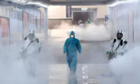Chinese Netizens Question Source of the Coronavirus Outbreak