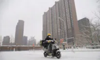 Coronavirus Outbreak in China Forces White Collar Class to Work From Home