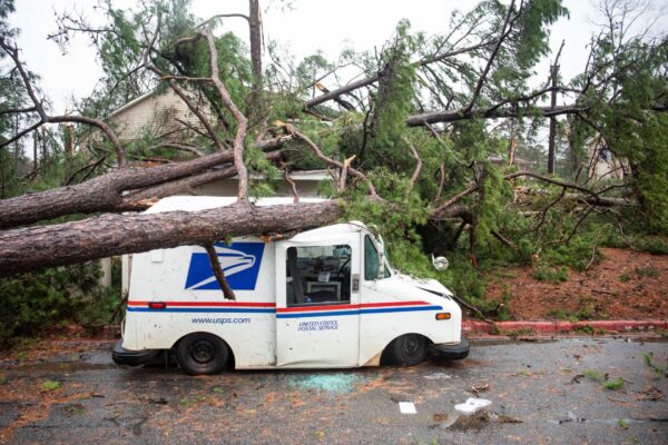 Fallen trees-US-Winter Weather