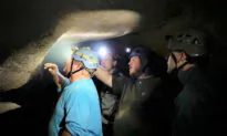 Paleontologists Unearth 330-Million-Year-Old Shark’s Head Inside Mammoth Cave Park, Kentucky