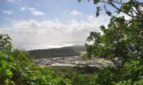 Girl Tested for Coronavirus on Christmas Island, Results Pending