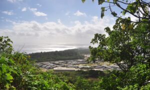 Girl Tested for Coronavirus on Christmas Island, Results Pending