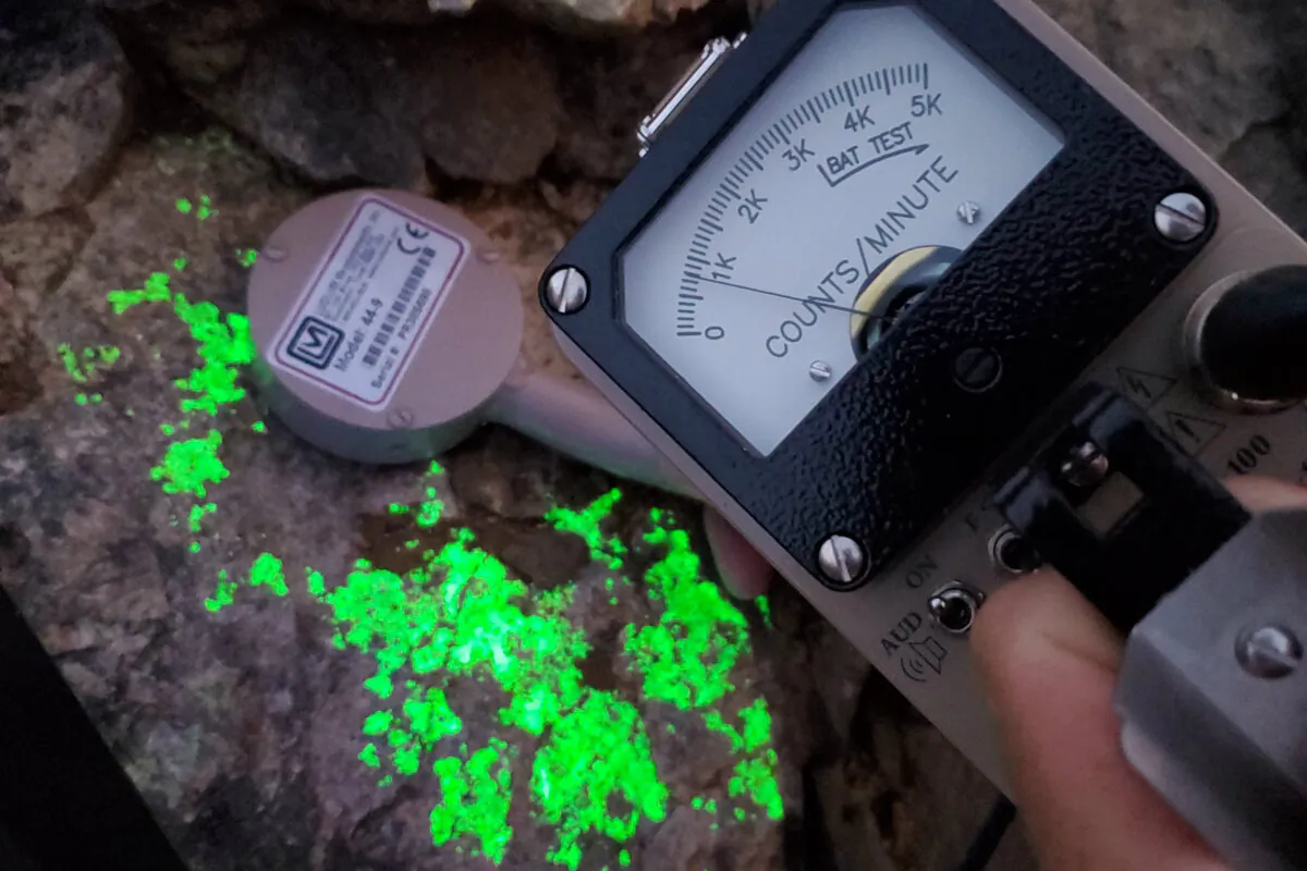 A uranium sample from a critical mineral deposit glows under blacklight as a a gieger counter measures its radiation in San Bernardino County, Calif., in a file photo. (Courtesy of Sundown Resources)