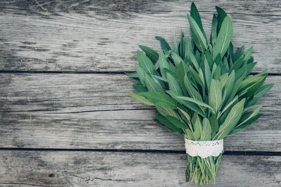 Sage has varied medicinal qualities and is packed with nutrients and antioxidants. (Irina Sokolovskaya/Shutterstock)