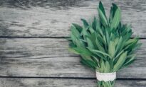 The Amazing Mind Body Benefits of Sage