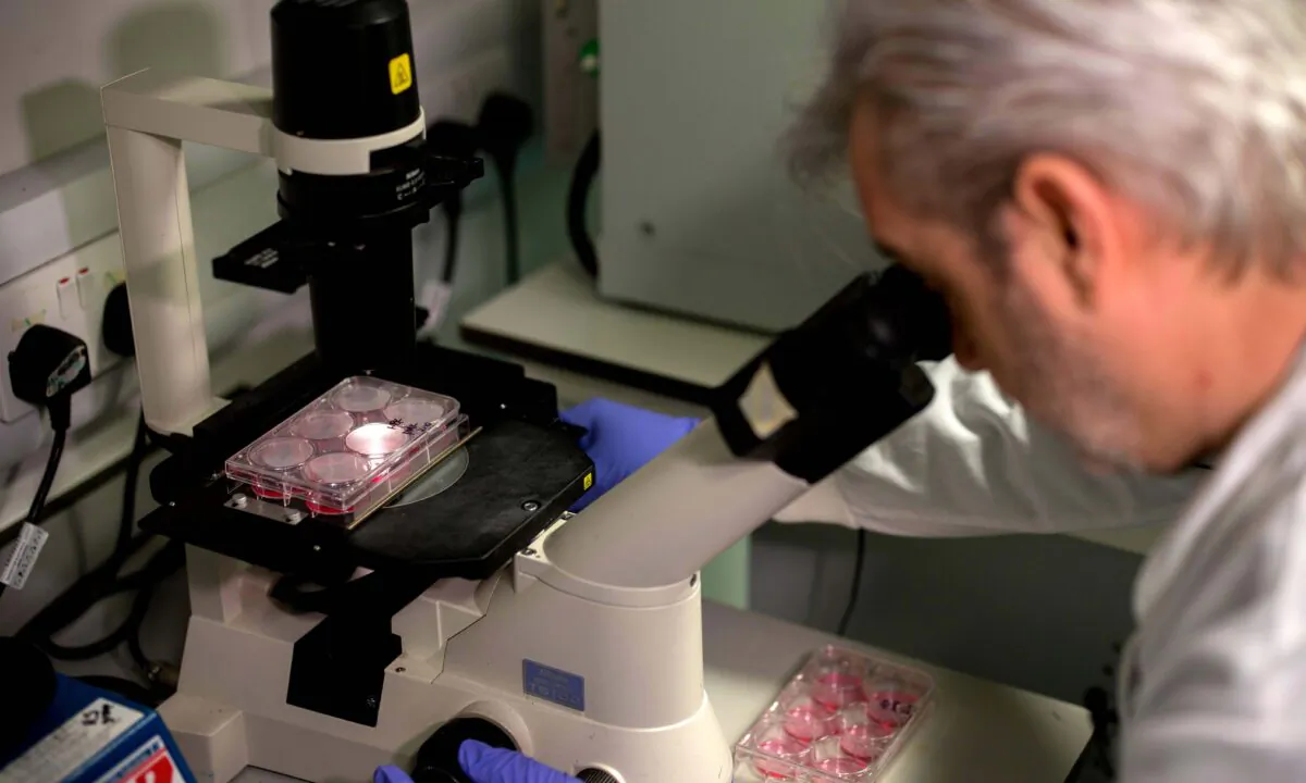 A doctor uses a microscope to look at bacteria containing coronavirus DNA fragments in a research lab at Imperial College School of Medicine (ICSM) in London, England, on Feb. 10, 2020. (Tolga Akmen/AFP via Getty Images)