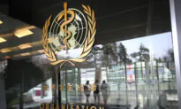 WHO Insider Gives Analysis of Its $31 Billion Pandemic Plan