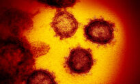 France Announces First Coronavirus Death in Europe
