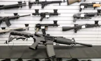 Virginia Senate Committee Rejects ‘Assault Weapons’ Ban