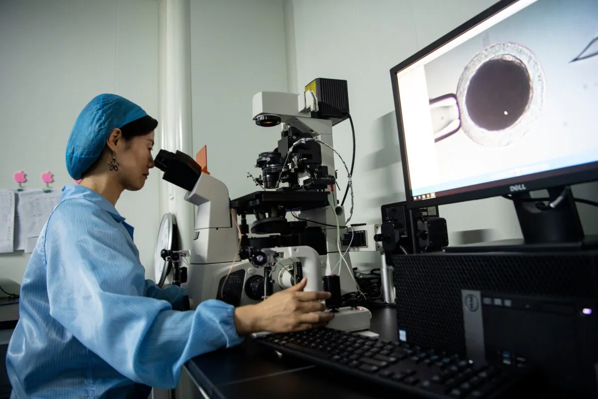 A laboratory technician working at the Chinese company Sinogene in Beijing on Sept. 2, 2019. (STR/AFP via Getty Images)