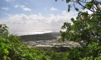 Australia’s Wuhan Evacuees on Christmas Island Return Home