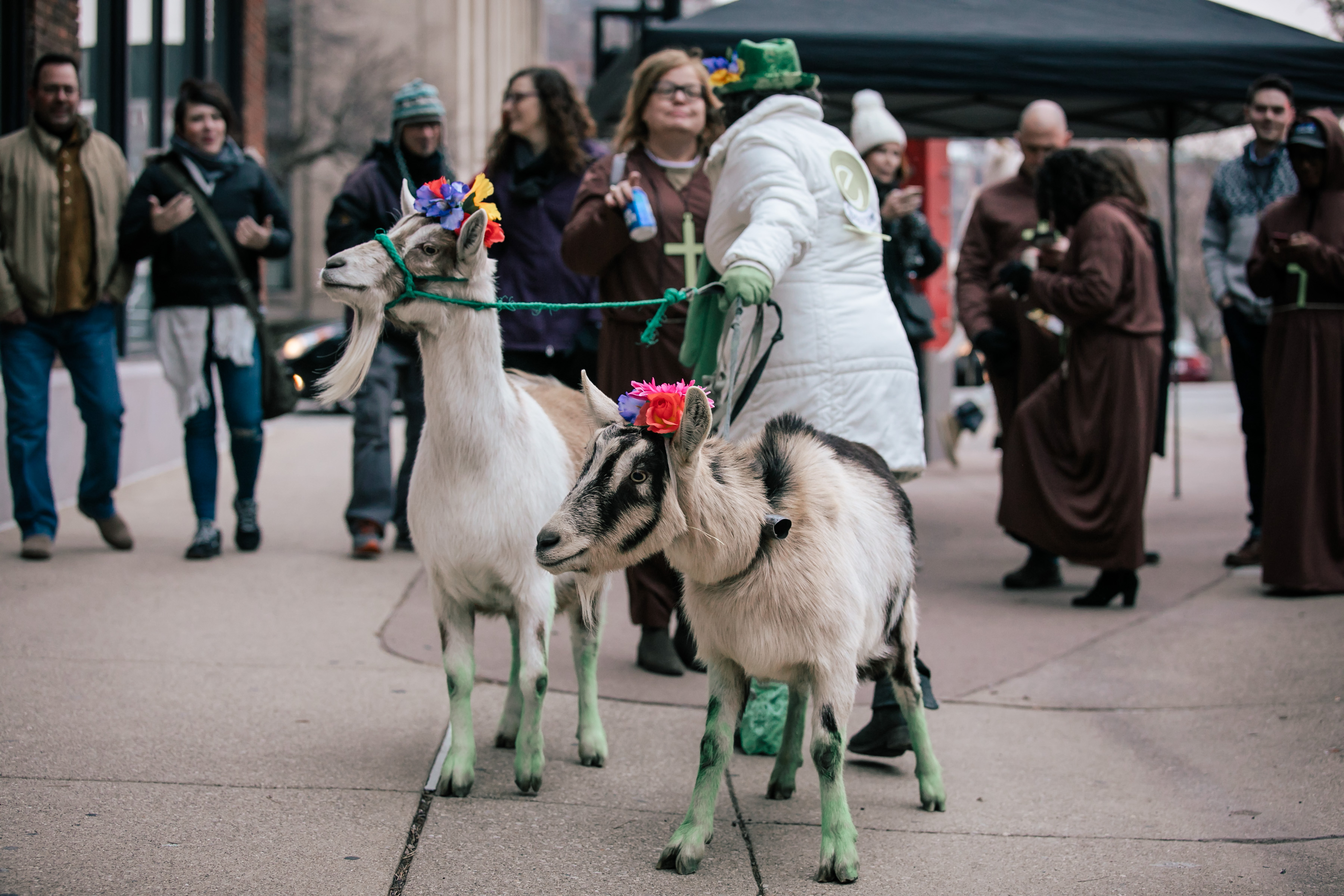 Bockfest19