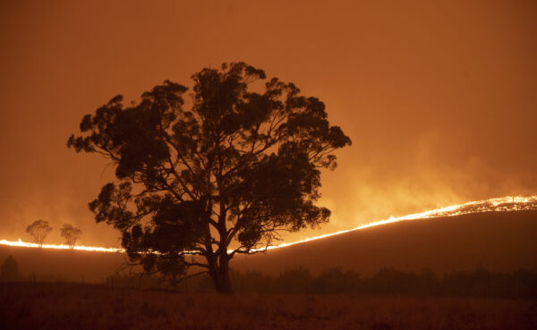 australia bushfires