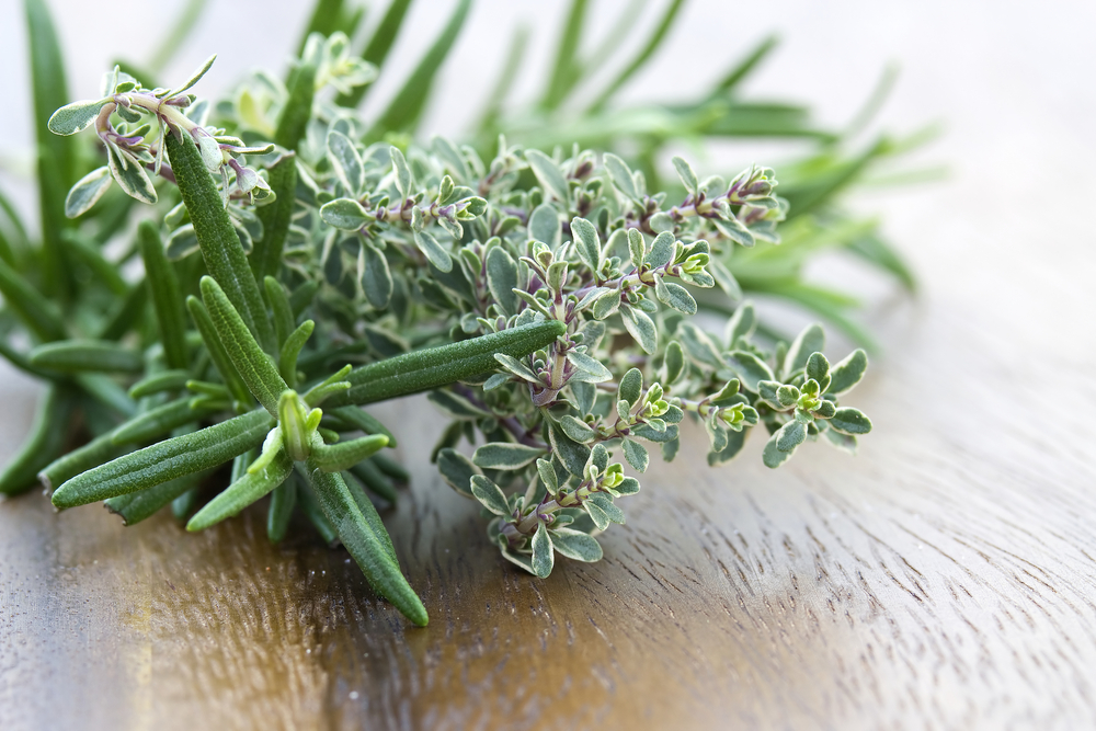 thyme and rosemary