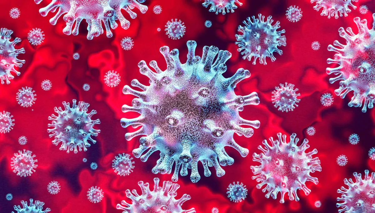 Coronavirus(Lightspring/Shutterstock)