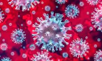 Swiss Coronavirus Cases Rise to 9 as Children Placed in Precautionary Quarantine