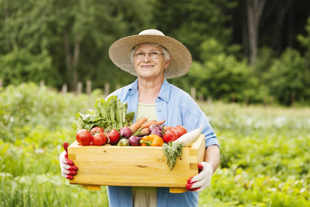 Adding fruits and vegetables to your diet can displace unhealthy foods your empty stomach may otherwise crave. (gpointstudio/Shutterstock)