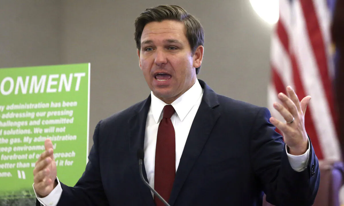 Gov. Ron DeSantis speaks at pre-legislative news conference in Tallahassee, Fla., on Oct. 29, 2019. (Steve Cannon/AP Photo)