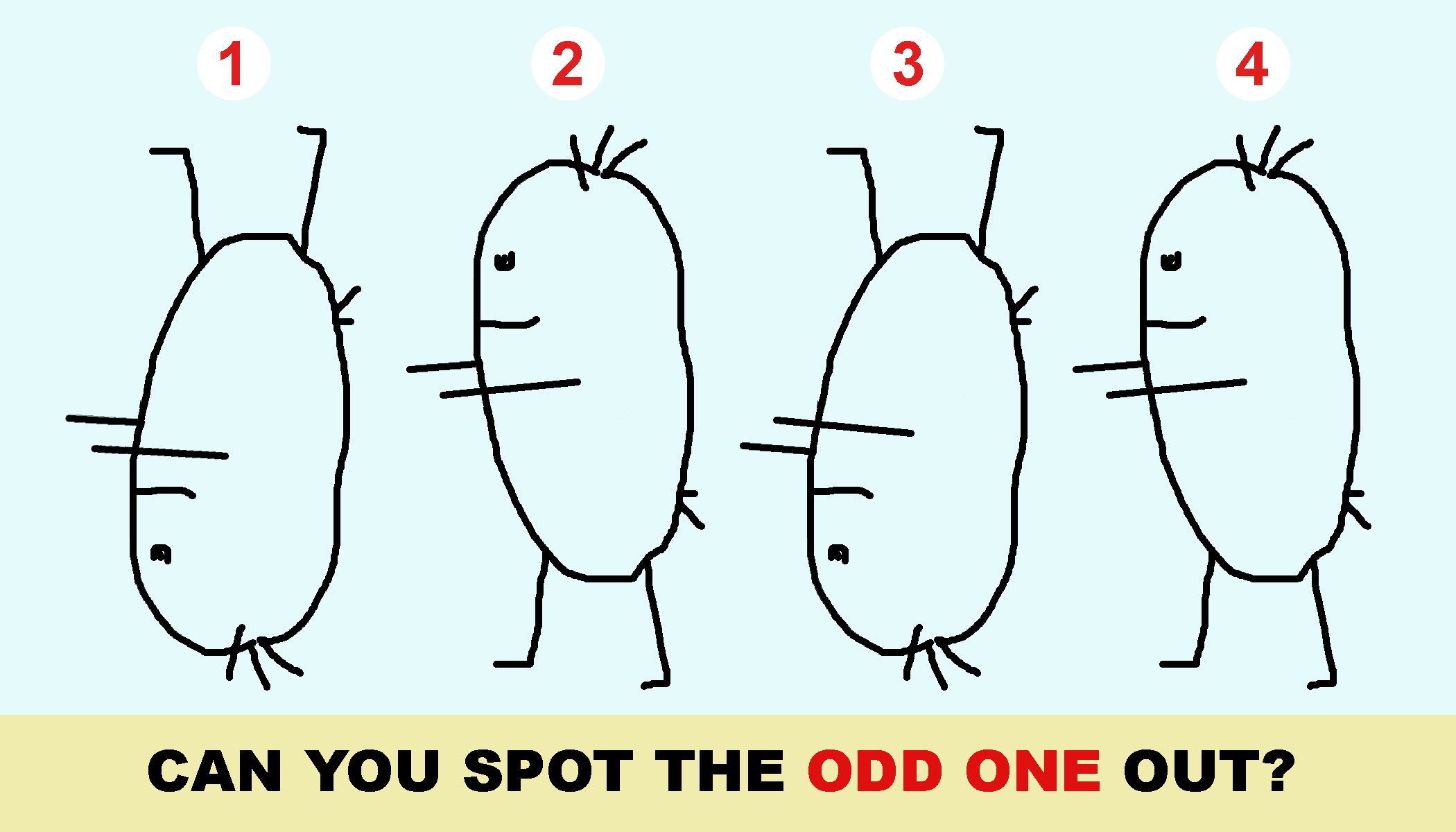 Brain Test: Can you spot the Odd One Out in this Image? Picture Puzzle -  News