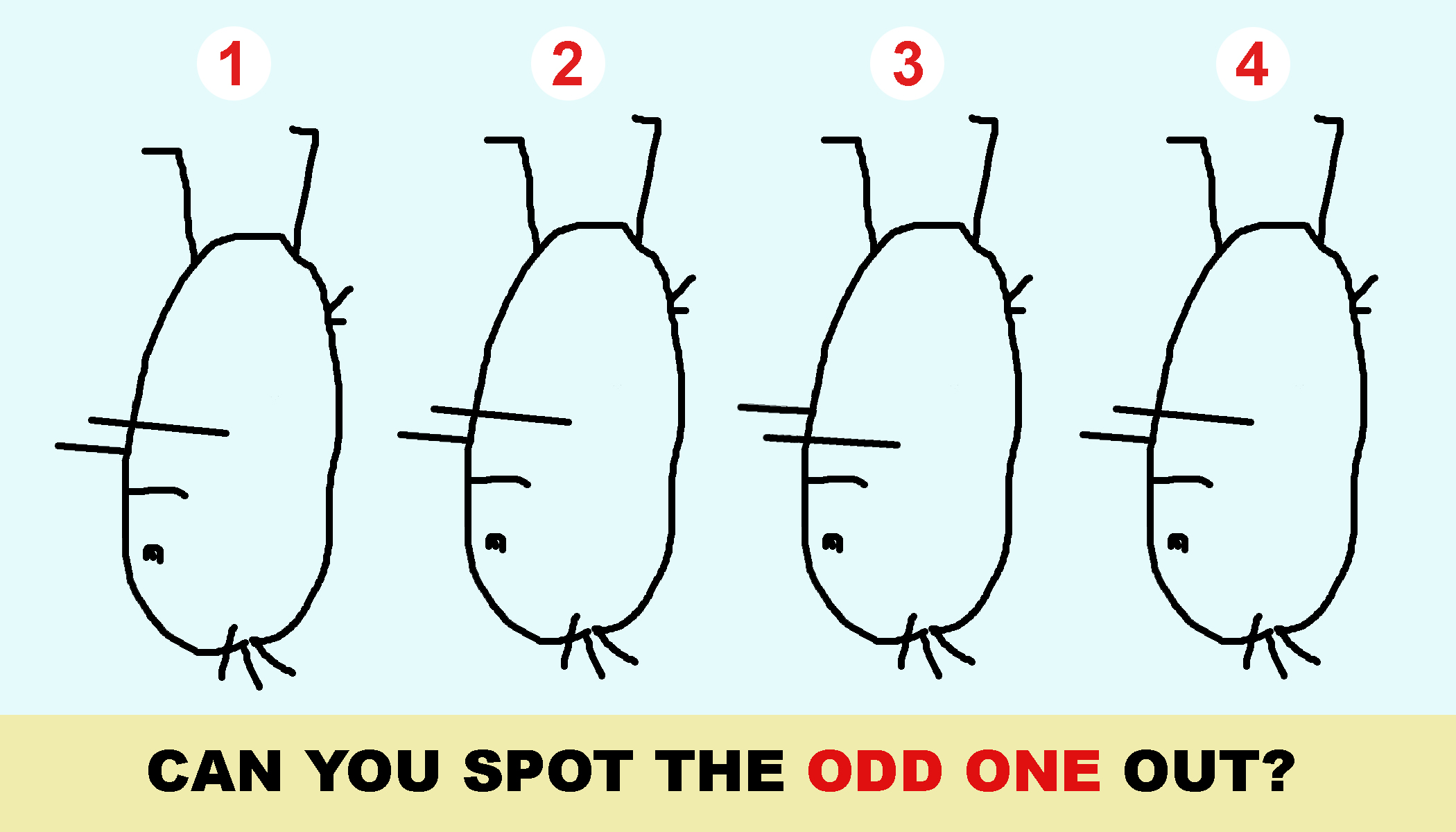 Brain Test: Can you spot the Odd One Out in this Image? Picture Puzzle -  News