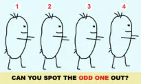 Look Closely at These 4 Picture Puzzles and See If You Can Find the Odd One Out