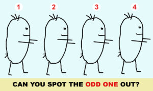 Look Closely at These 4 Picture Puzzles and See If You Can Find the Odd One Out