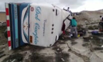 At Least 12 Dead in Bus Accident in Peru