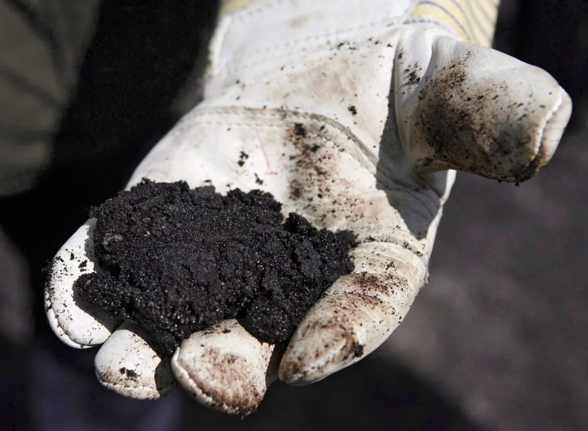 A worker holds oilsands bitumen near Fort McMurray in a file photo. (The Canadian Press/Jeff McIntosh)