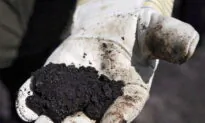 Teck Oilsands Project Cancellation Not a Happy Outcome for Indigenous Communities