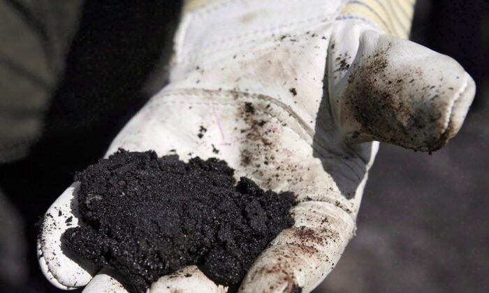 A worker holds oilsands bitumen near Fort McMurray in a file photo. (The Canadian Press/Jeff McIntosh)