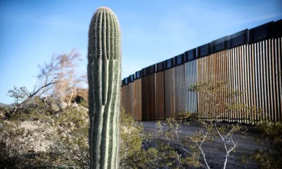 Border Wall Construction Has Increased During Pandemic: CBP Chief