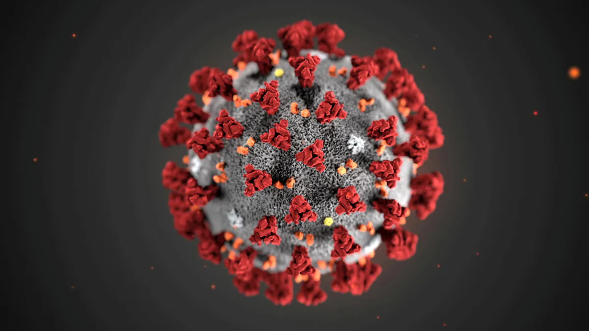 The ultrastructural morphology exhibited by the 2019 Novel Coronavirus (2019-nCoV), which was identified as the cause of an outbreak of respiratory illness first detected in Wuhan, China, is seen in an illustration released by the Centers for Disease Control and Prevention (CDC) in Atlanta, Jan. 29, 2020. (Alissa Eckert, MS; Dan Higgins, MAM/CDC/Handout via Reuters)