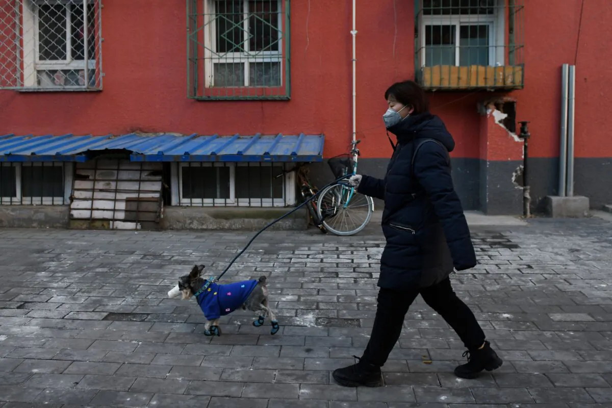 A woman wears a face mask as she walks her dog on a street in Beijing, China on Feb. 4, 2020. (Greg Baker/AFP via Getty Images)