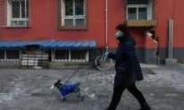 Dog Tests Positive for New COVID-19 Virus