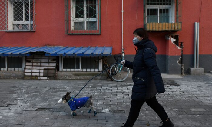 A woman wears a face mask as she walks her dog on a street in Beijing, China on Feb. 4, 2020. (Greg Baker/AFP via Getty Images)