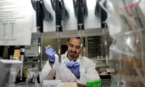 Chinese Authorities Destroy Data Related to Outbreak: Coronavirus Updates From March 2