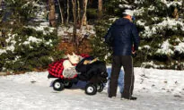 ‘She Would Do the Same for Me’: Heartrending Photo of Man Towing Paralyzed Dog in Red Wagon Goes Viral