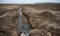 China Faces Food-Security Crisis Due to Groundwater Shrinkage, Pollution, Report Says