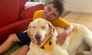 Blind, Overweight Senior Dog Dumped at City Pound–Until Perfect Family Finds Her on Social Media