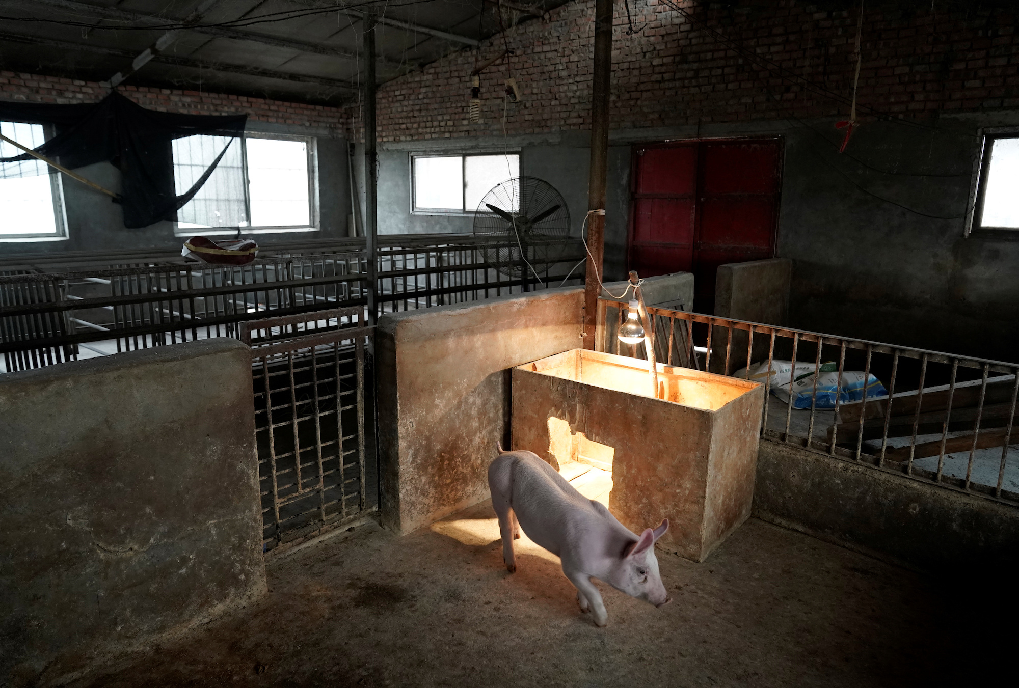 Epoch Times Photo